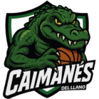 Toros del Valle