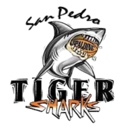 San Pedro Tiger Shark